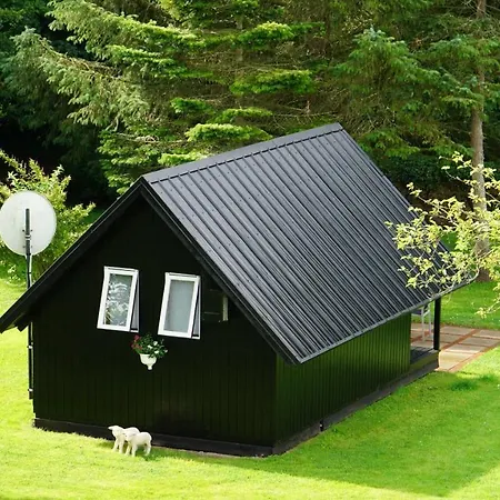 Vogelkoje Holiday home *