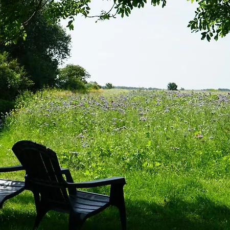Holiday home Vogelkoje